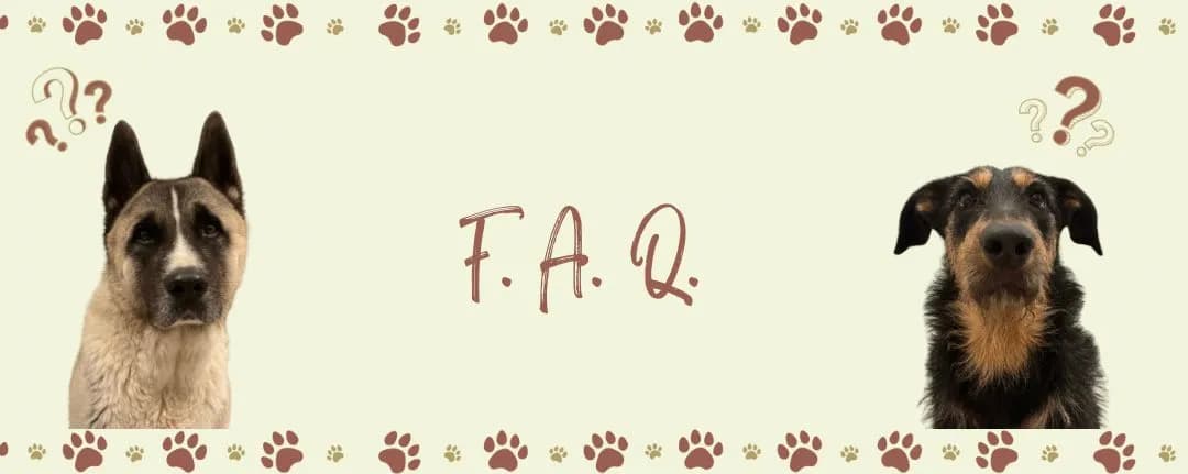 Questions fréquentes PSCF