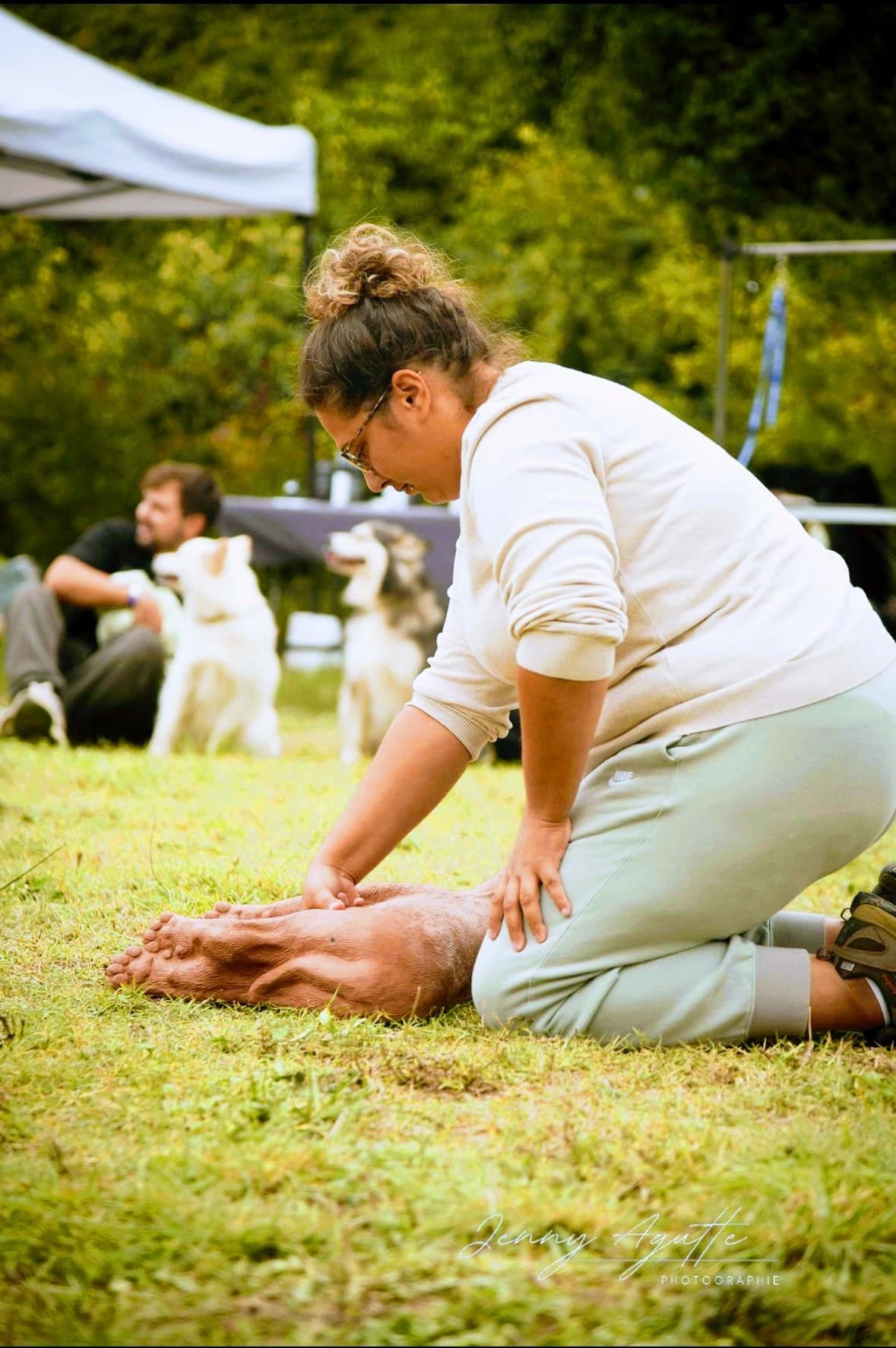 Pratique des premiers secours sur chien